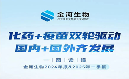 һͼ4001ϻ2024걨&2025һ